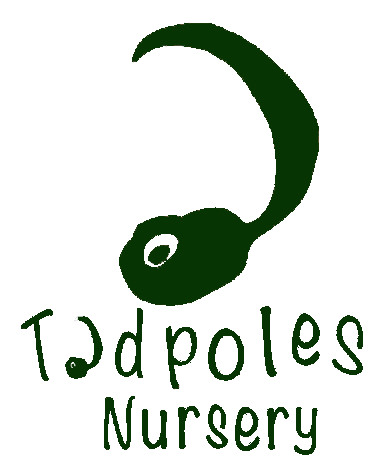 Tadpoles Kensington