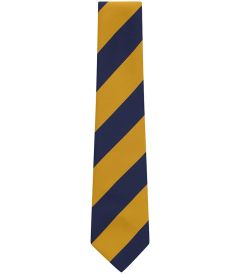 ACC-34-POL - Tie - NAVY/GOLD - 52L