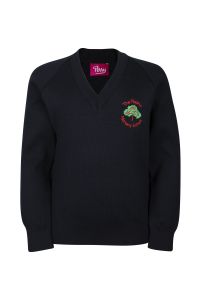 JUM-58-DXG - Cotton rich v neck jumper - Navy/logo