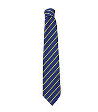 TIE-05-POL - Striped tie - Royal/gold