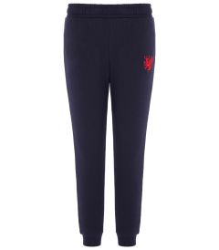 TRB-66-BHP - Tracksuit bottoms - Navy/logo