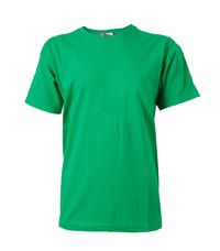 TSH-43-COT - T-shirt - Emerald