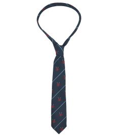 Lightweight Tie