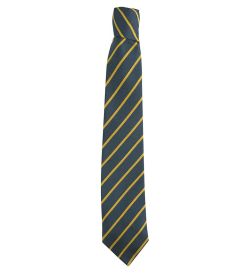 TIE-05-POL - School Tie - Navy/gold