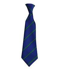TIE-21-POL - Elastic striped tie - Royal/Green - One