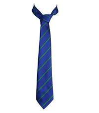 TIE-86-POL - Striped tie - Royal/Green