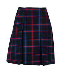 SKT-58-PVI - Inverted pleat skirt - Salisbury check