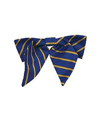 TIE-80-POL - Girls double bow tie - Royal/gold