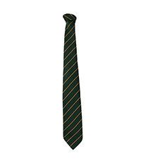 TIE-81-POL - Striped tie - Bottle/Gold