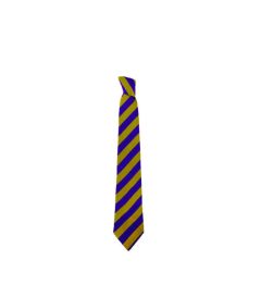 NKT-04-POL - Stripe Tie - Purple/gold