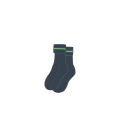 SOC-20-COP - Ankle socks with trim - Grey/blue/lime