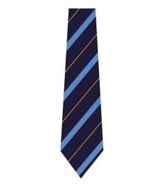 NKT-31-POL - Striped tie - navy/sky/gold