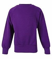SWE-80-FLE - Sweatshirt - Dark purple