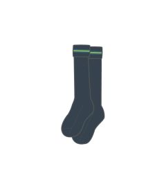 SOC-24-PWA - Long socks - Grey/royal/green