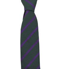 TIE-66-YHS - York House velcro tie - Bottle/purple stripe - One