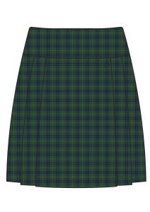 SKT-42-WEL - Pleated skirt with zip - Wellesley Tartan