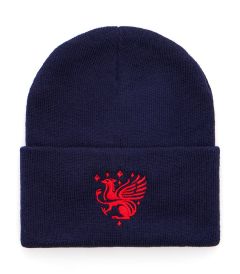HAT-33-BHP - Knitted pull on hat with logo - Navy/logo - One
