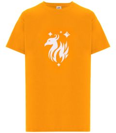 TSH-43-BHP - Phoenix house t-shirt - Orange/logo