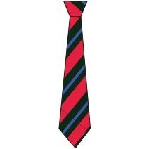NKT-49-HAL - Hallfield clip on house tie - Red/bottle/royal - One