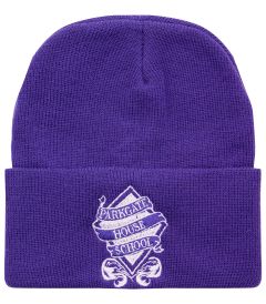 HAT-33-PKG - School Hat - Purple/logo - One