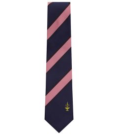 NKT-82-TED - Apsley House tie - Pink/Navy/Logo - 54L