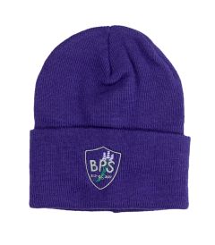 HTS-10-BSD - Beanie - Purple/logo - One