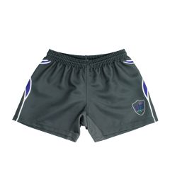 SHR-12-BSD - Sports shorts - Grey/Purple/Logo