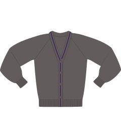 CAR-57-CAY - V-neck cardigan - Grey/Purple