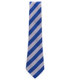 NKT-70-POL - Hornsby House Tie - Navy/silver