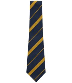 NKT-77-POL - School Tie - Navy/gold