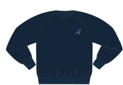 SWT-19-FSG - Falcon Sweatshirt - Navy/logo