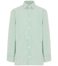 SHT-82-PCT - Long sleeved striped shirt - White/green
