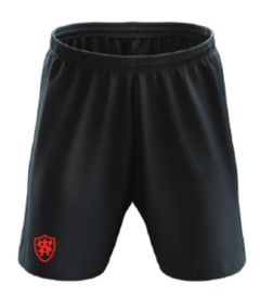 SHR-11-WPS - Shorts - Black/logo
