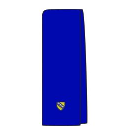 SCF-15-SMP - Fleece Scarf - Royal/logo - One