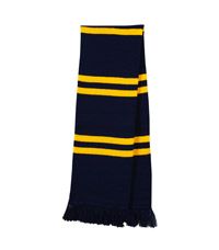 SCF-18-ACY - Striped scarf - Navy/gold - ONE