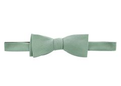 Blue Bow Tie