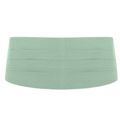 Blue Cummerbund